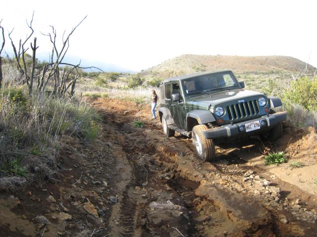 Mauna Kea Access Road: Wash