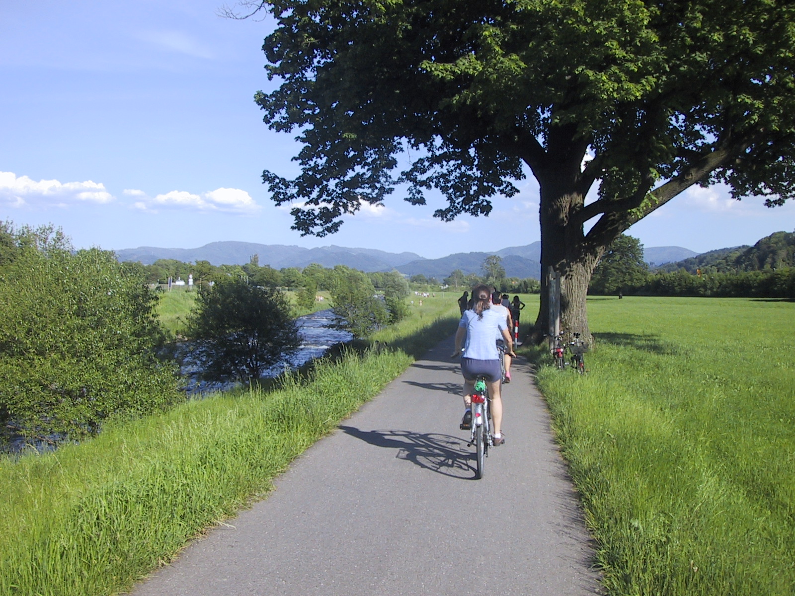 Freiburg, Germany: Biking through the Black Forest valley.